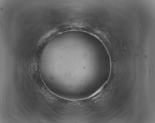 X0000085041159200703121426