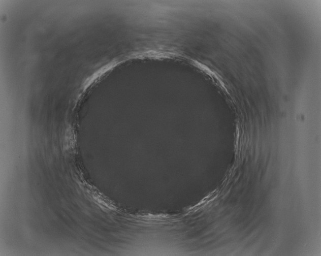 X0000085041160200703121426