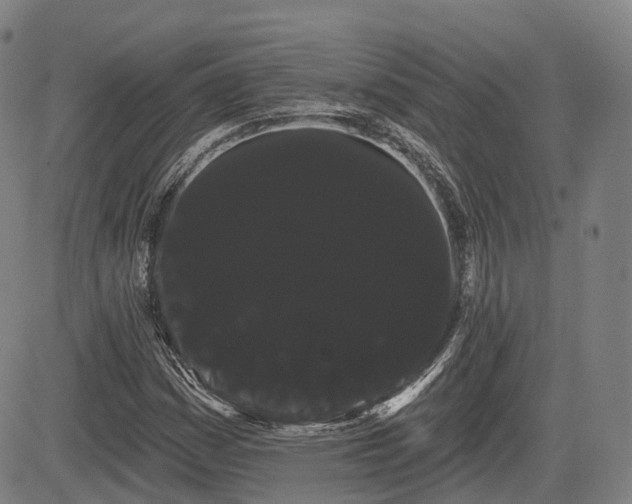 X0000085041161200703121426