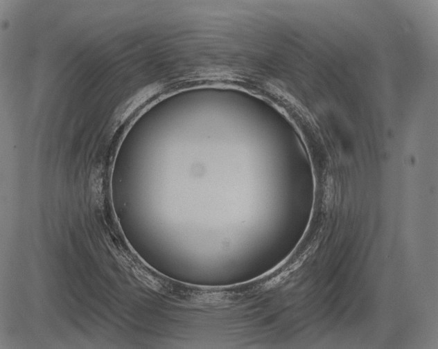 X0000085041162200703121426