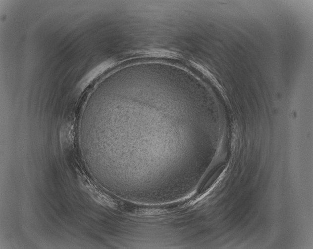 X0000085041163200703121426