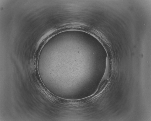 X0000085041164200703121426