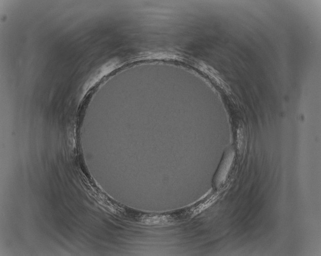 X0000085041165200703121426