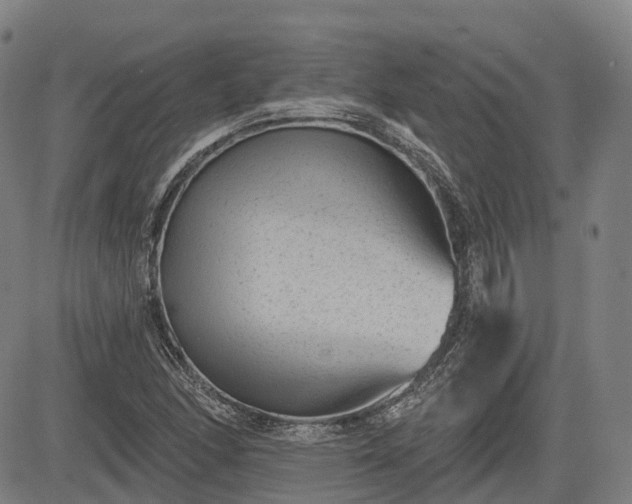 X0000085041166200703121426