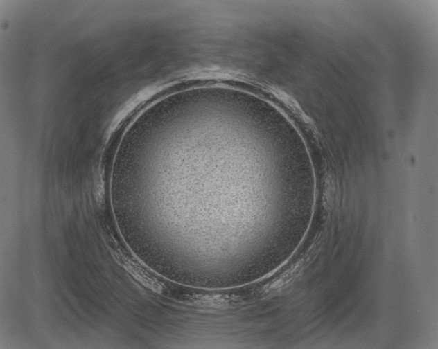 X0000085041167200703121426