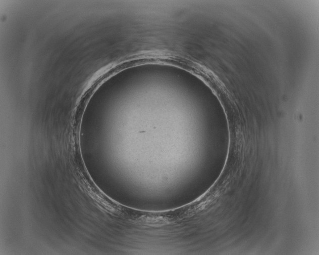 X0000085041168200703121426