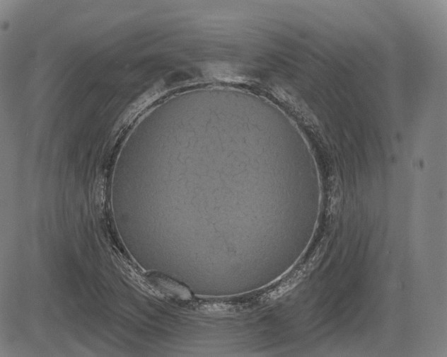 X0000085041169200703121426