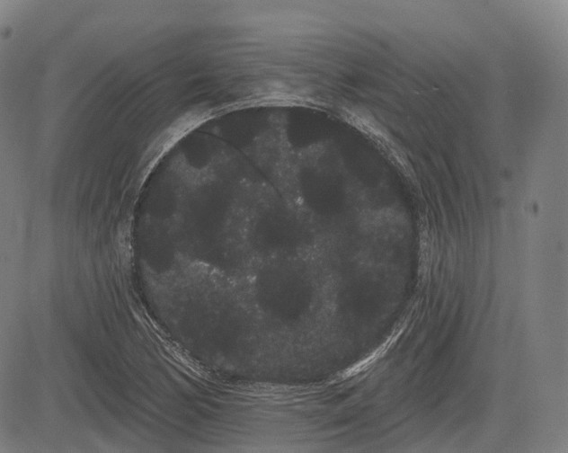 X0000085041170200703121426