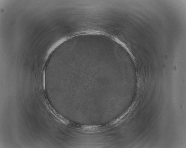 X0000085041171200703121426