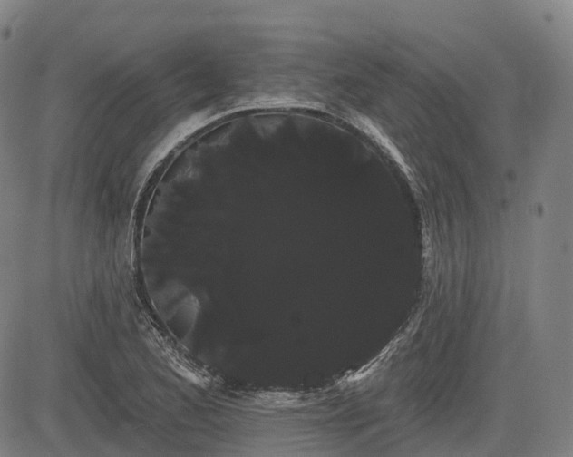 X0000085041173200703121426