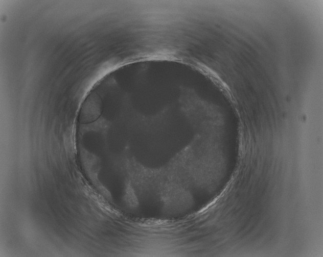 X0000085041174200703121426