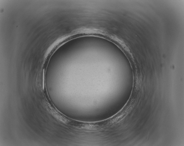 X0000085041175200703121426