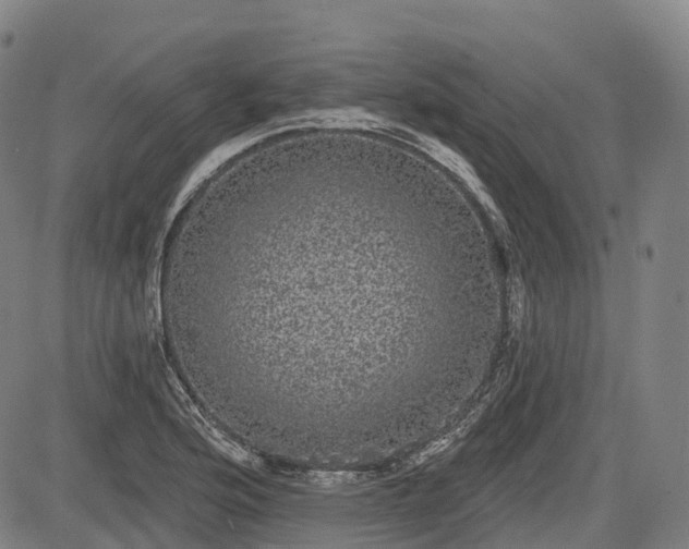 X0000085041176200703121426