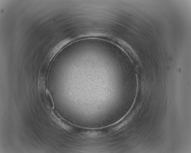 X0000085041177200703121426