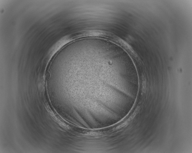 X0000085041178200703121426