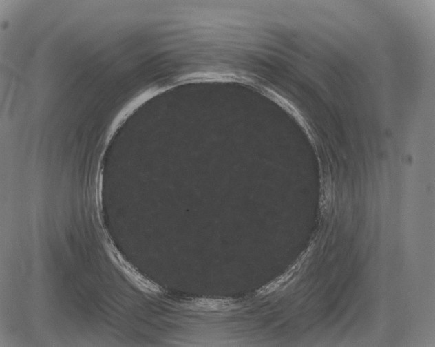 X0000085041179200703121426