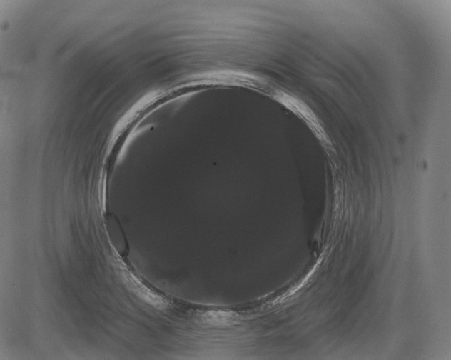 X0000085041180200703121426