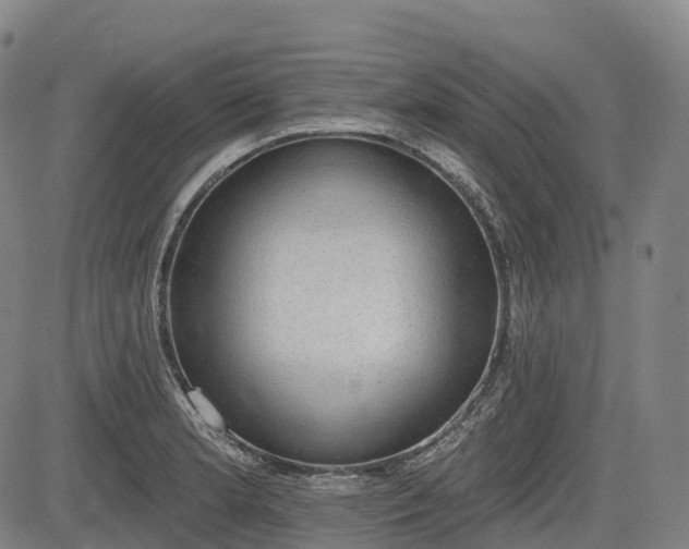 X0000085041181200703121426