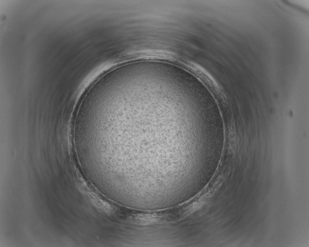 X0000085041182200703121426