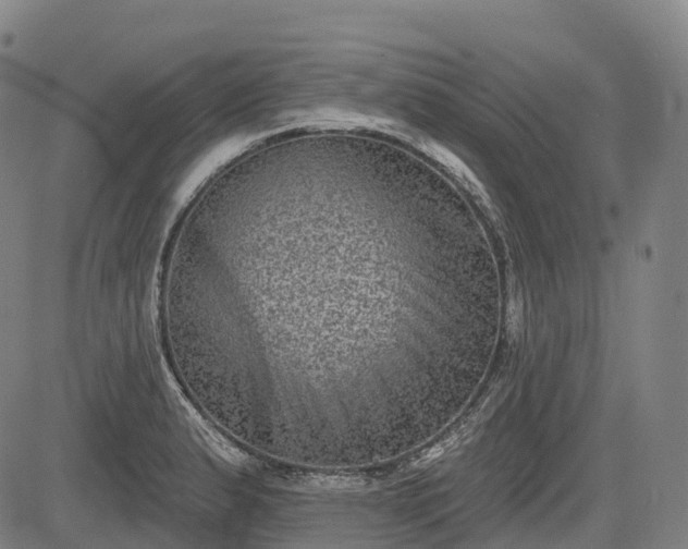 X0000085041183200703121426