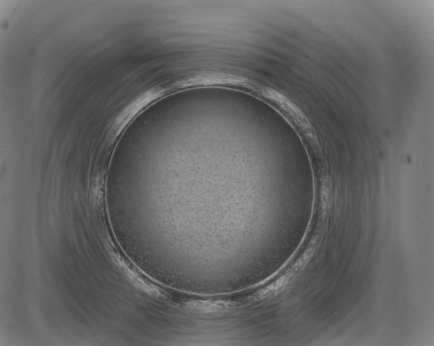 X0000085041185200703121426