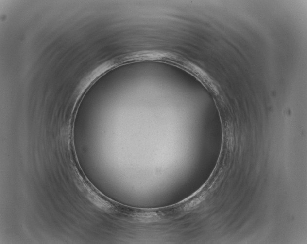 X0000085041186200703121426