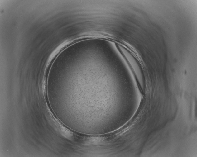 X0000085041188200703121425