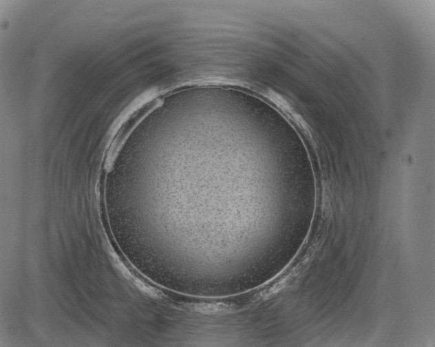 X0000085041189200703121425