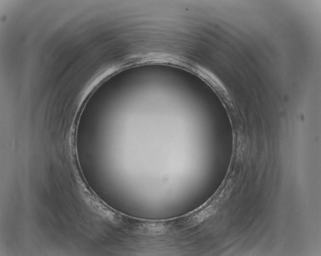 X0000085041190200703121425