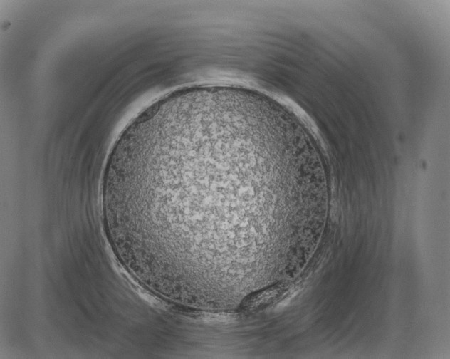 X0000085041191200703121425