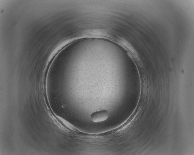 X0000085041192200703121425