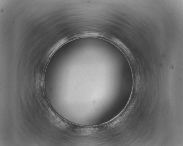 X0000085041193200703121425