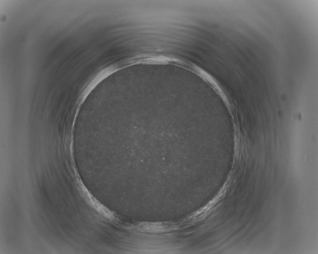 X0000085041194200703121425