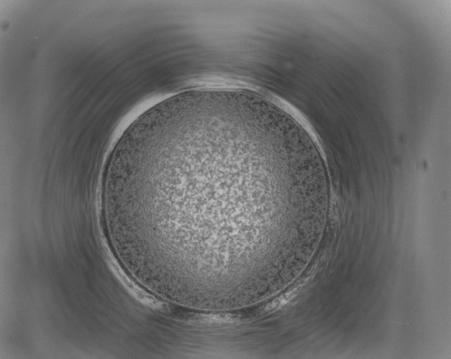 X0000085041195200703121425