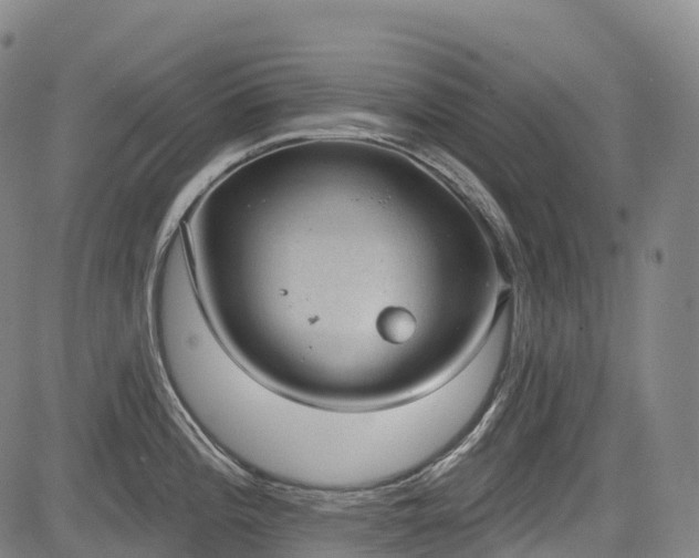 X0000085041196200703121425