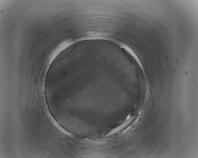 X0000085041197200703121425