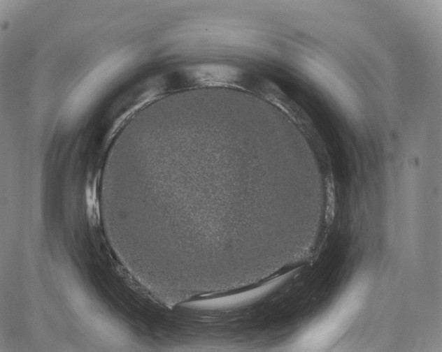 X0000085041198200703121425