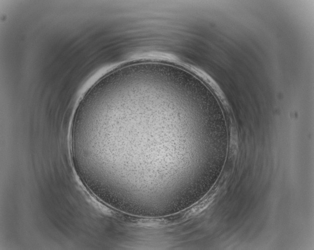 X0000085041199200703121425