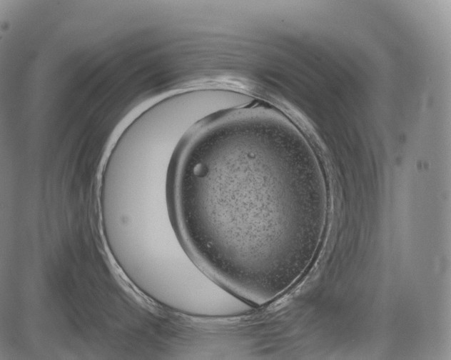 X0000085041200200703121425