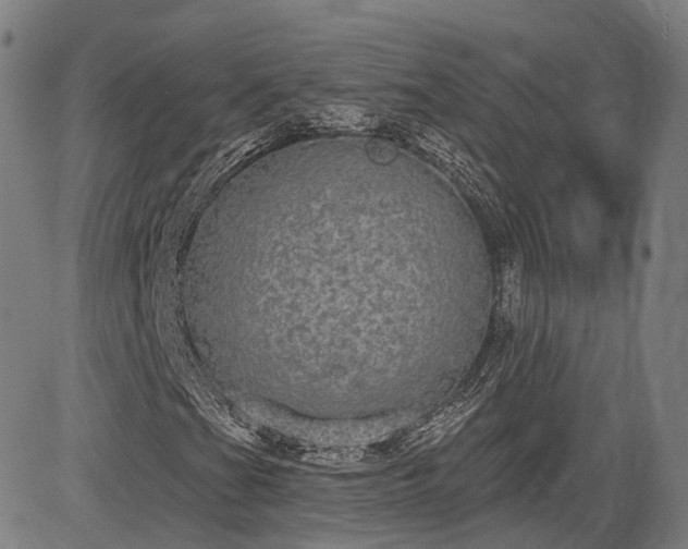 X0000085041201200703121425