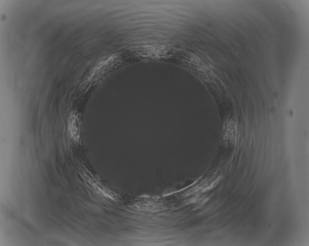 X0000085041202200703121425