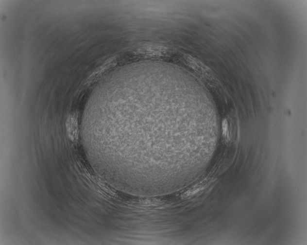 X0000085041203200703121425