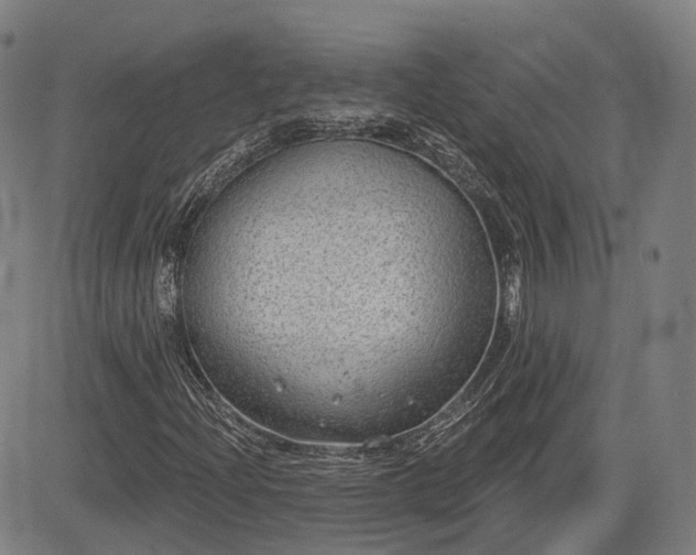 X0000085041204200703121425