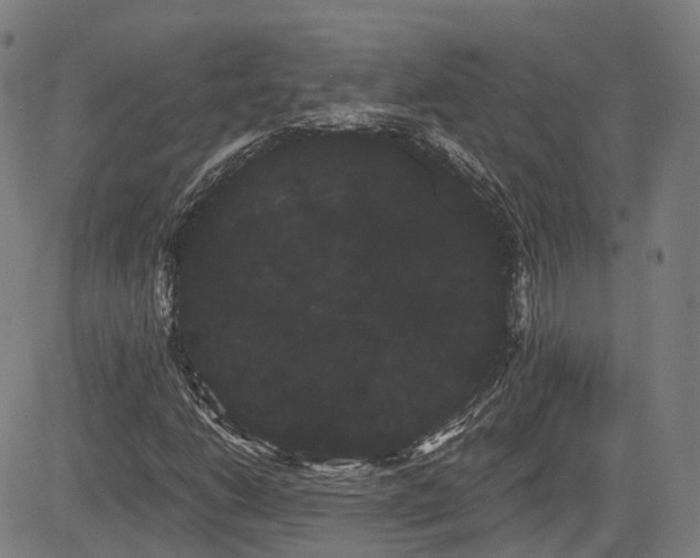 X0000085041206200703121425