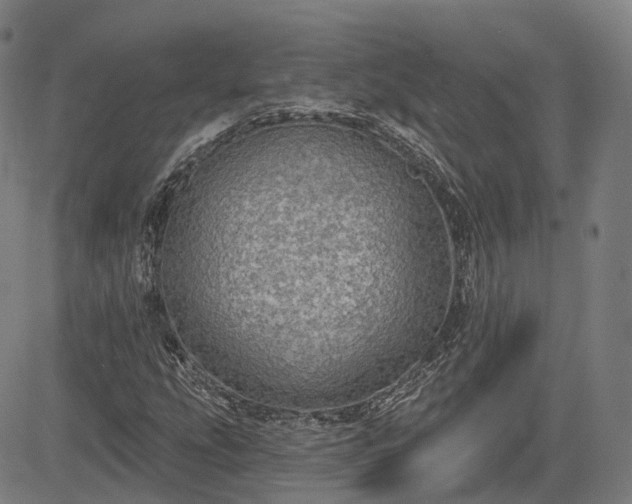 X0000085041207200703121425