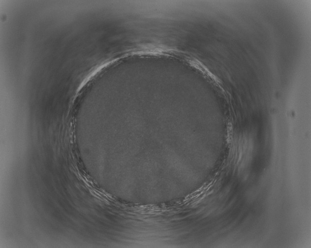 X0000085041208200703121425