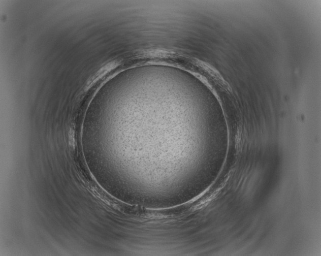 X0000085041209200703121425