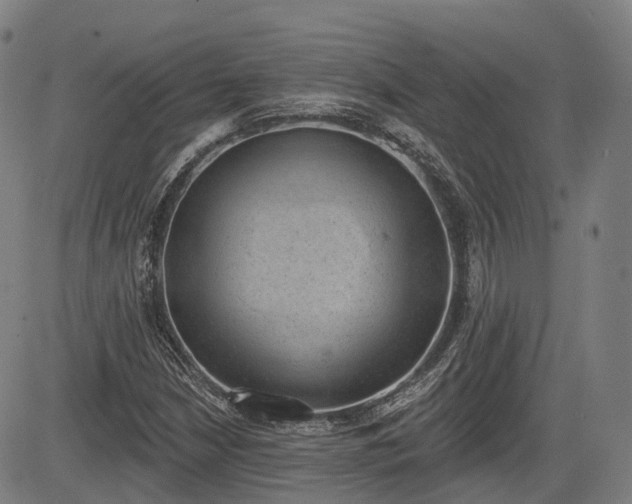 X0000085041210200703121425