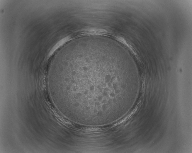 X0000085041211200703121425