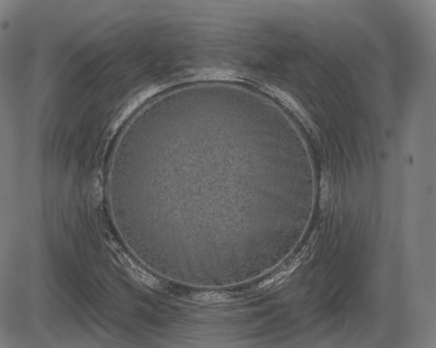 X0000085041212200703121425